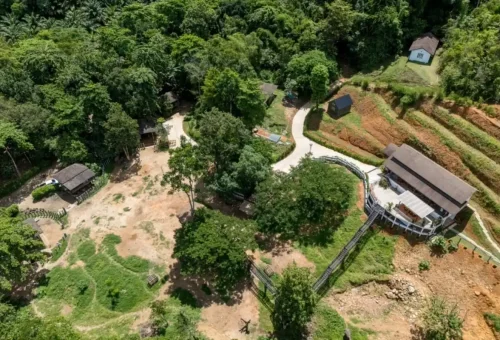 Group of tourists listening to elephant keeper’s story