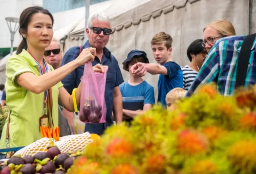 Tour guide holding a pink bag of fresh mangosteens at a market