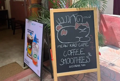 bangkok-talad-noi-stray-cat-walk-phuket-travel-store-9