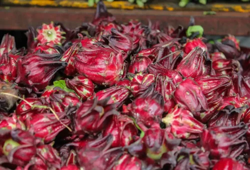 Fresh roselle hibiscus flowers on display at a colorful Bangkok market
