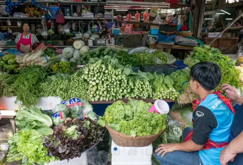 Fresh green vegetables and herbs neatly displayed at a bustling local Thai market in Thonburi