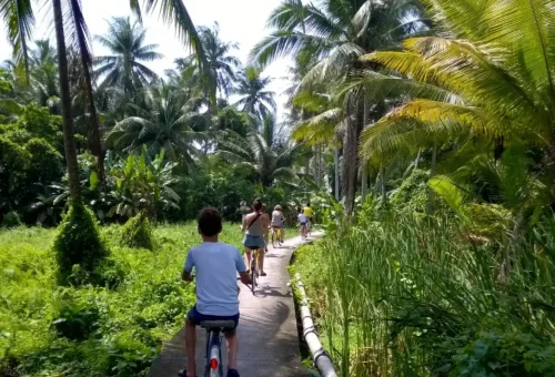 Scenic Bangkok countryside bicycle ride through lush coconut groves