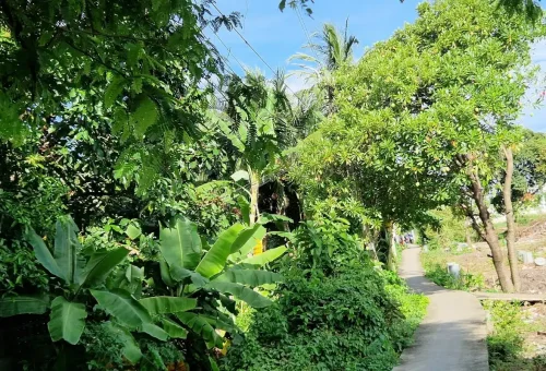 Escape to nature as you cycle peaceful green trails hidden in Bangkok’s urban jungle.