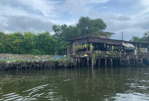 Riverside house with lush plants along canal edge