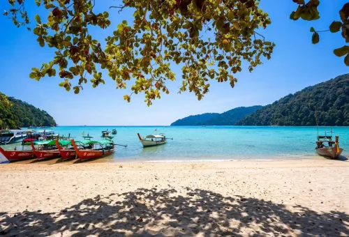 Longtail boats and speedboats anchored on the beach of Moken Village