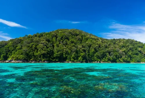 Clear turquoise waters and coral reef with snorkelers near a lush green island at Surin Islands