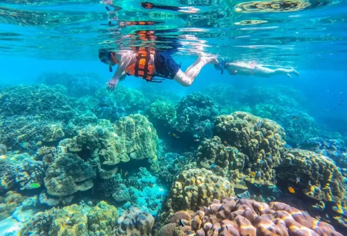 Snorkelers exploring vibrant coral reefs in the clear waters of Surin Islands