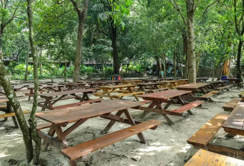 Wooden picnic benches shaded under the tropical forest canopy on Surin Islands, Thailand.