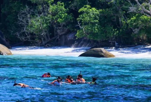 Group of tourists snorkeling above colorful coral reefs at the Similan Islands.