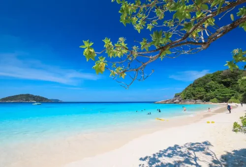 Stunning bay at Similan Islands with lush jungle and white beach