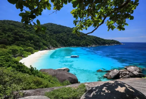 Woman walking toward turquoise waters and scenic Similan Island