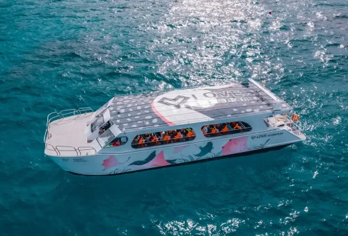 Speedboat by Love Andaman on turquoise waters of the Andaman Sea