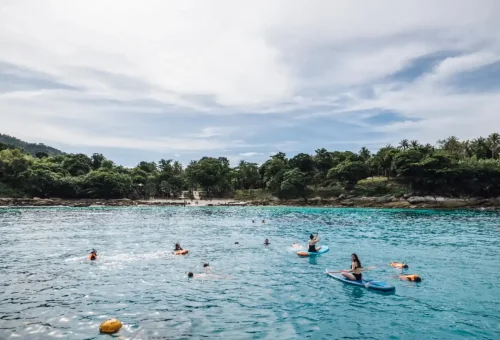 Tour guests swimming and paddleboarding in turquoise water near lush Coral Island.