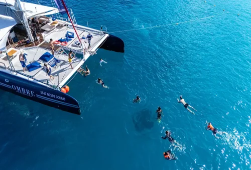 Guests swimming and snorkeling around the Ombre catamaran