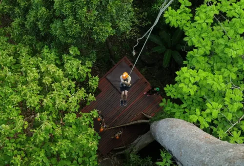 A person ziplining from a treetop platform into the jungle at Flying Hanuman in Phuket.