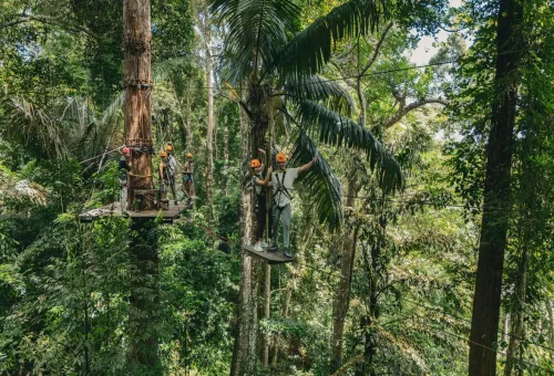 A group of adventurers on a jungle platform preparing for the next zipline at Flying Hanuman.