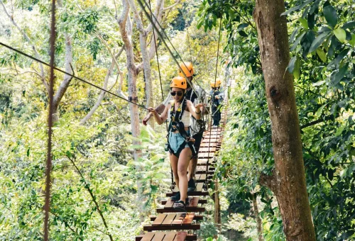 Guests carefully walking across a narrow hanging bridge in the jungle, secured with harnesses.