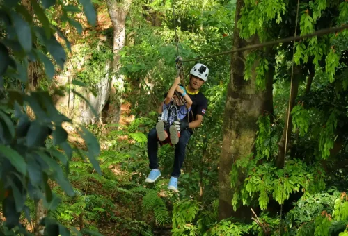 A guide riding tandem zipline with a child through tropical forest canopy.