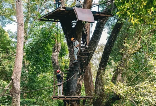 Adventurers using a spiral staircase built into a giant tree during the zipline course.
