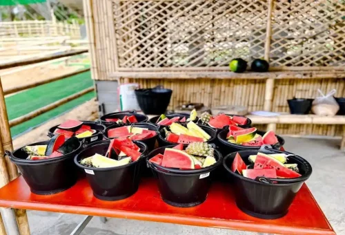 Buckets of watermelon and pineapple prepared for elephants