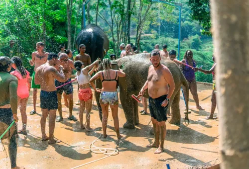 Tourists laughing as elephant splashes them during spa