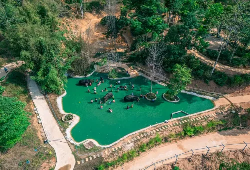 Aerial view of elephant mud spa with guests in jungle pool Phuket