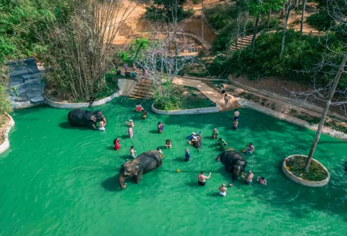 Guests bathing and playing with elephants in natural green spa pool