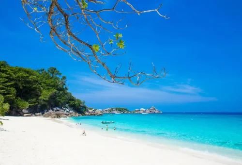 Scenic beach with white sand, turquoise sea, and tropical trees at Similan Islands.