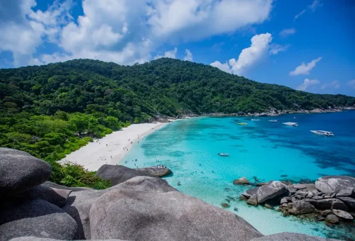 Panoramic view of Similan Islands bay with jungle, beach, turquoise water, and anchored boats, Phuket.