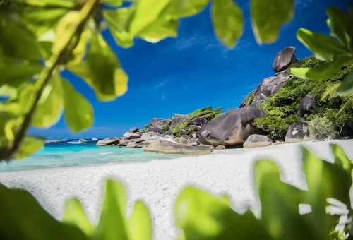 White beach framed by tropical leaves with giant granite rocks at Similan Islands, Thailand.