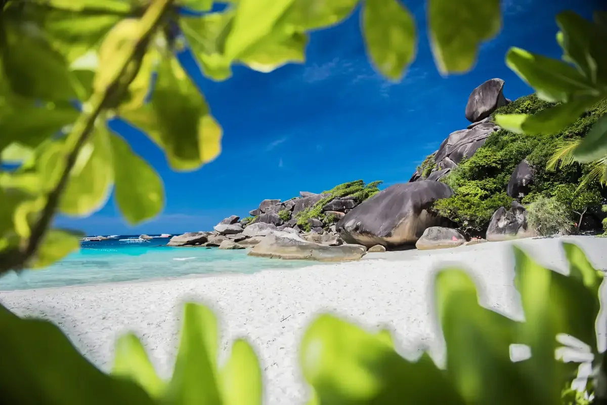 Wow Andaman Similan Phuket Travel Store (3)