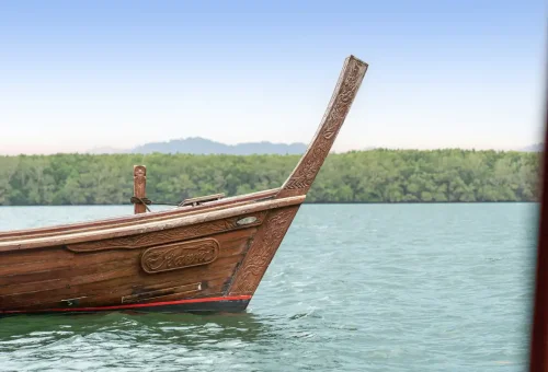 Scenic mangrove and mountain views from a private longtail boat in Khao Lak.