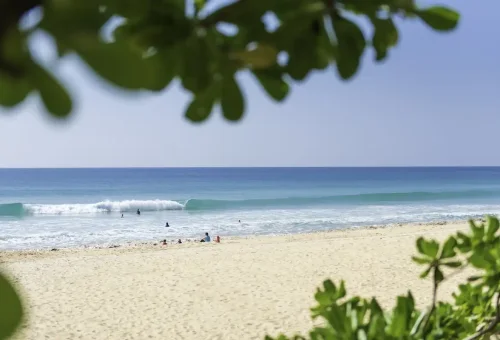 mangrove-and-local-life-khoa-lak-private-longtail-boat-phuket-travel-store-12