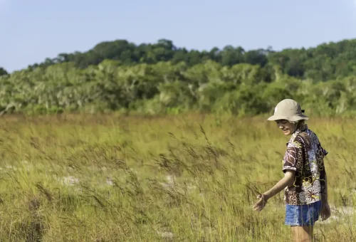 Mangrove And Local Life Khoa Lak Private Longtail Boat Phuket Travel Store 13