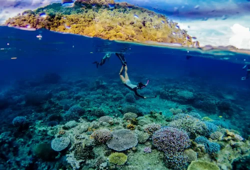 Surin Islands snorkeling adventure with tropical coral reefs and fish.