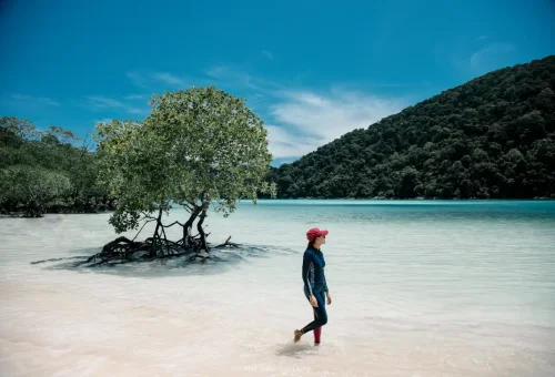 Traveler enjoying Surin Islands mangrove beach with clear water.