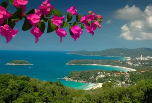 Scenic view of Phuket coastline framed by pink bougainvillea