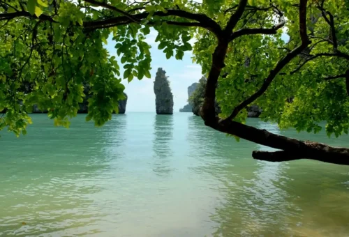 Overhanging tree framing turquoise bay with limestone islands in Phang Nga Bay.