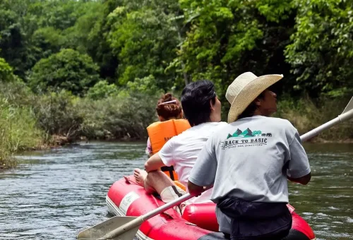 Local guide paddling canoe for tourists on Khao Sok river with Phuket Travel Store.