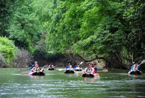 Tourists in multiple canoes exploring the Khao Sok river with Phuket Travel Store.