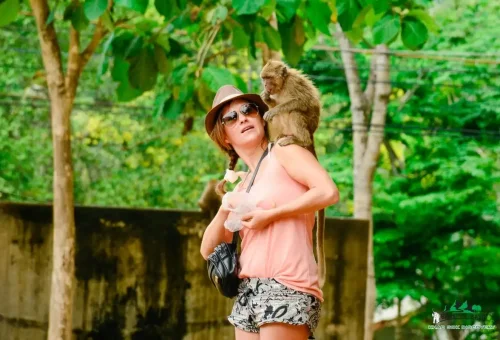 Tourist with monkey on shoulder at Khao Sok jungle stop with Phuket Travel Store.