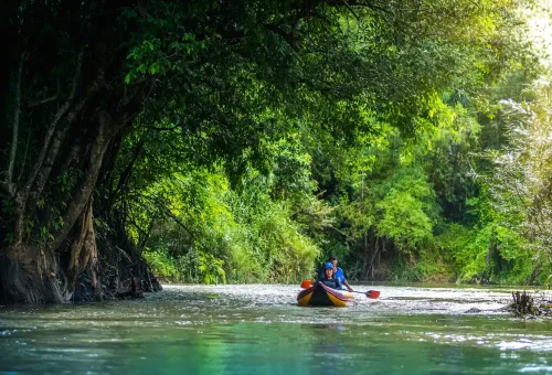 Tourists canoeing along the jungle river in Khao Sok National Park with Phuket Travel Store.