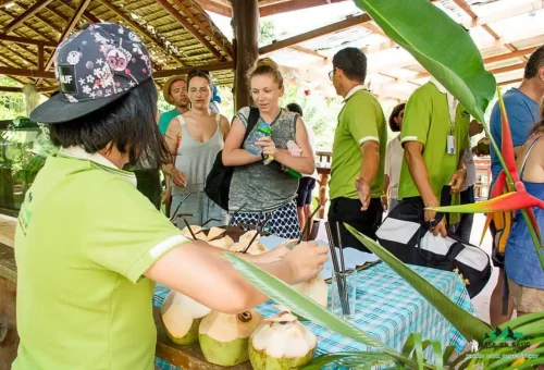 Tourists enjoying fresh coconuts served by staff at Khao Sok Discovery Restaurant on a Phuket Travel Store tour.