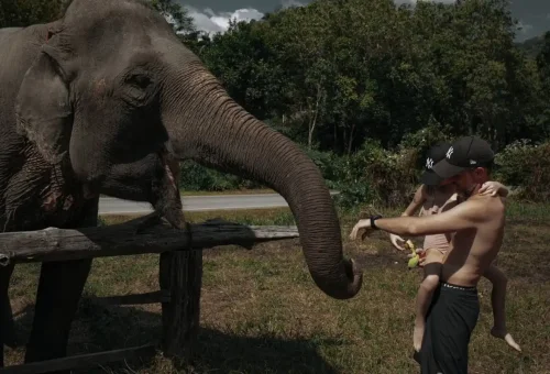 Family feeding an elephant at ethical sanctuary in Khao Sok.