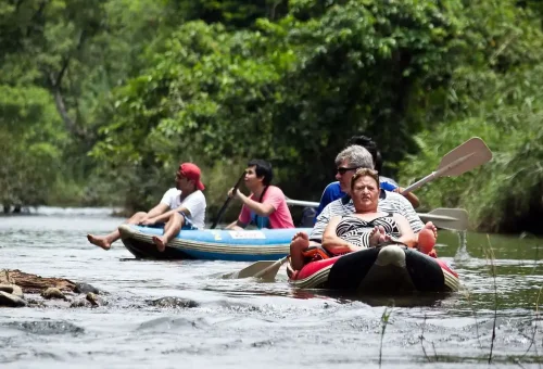 Tourists canoeing on the Sok River during Khao Sok jungle hiking and canoeing day trip.