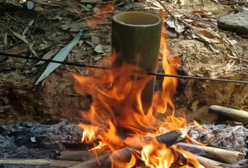Traditional bamboo coffee brewing over a fire during Khao Sok jungle tour.