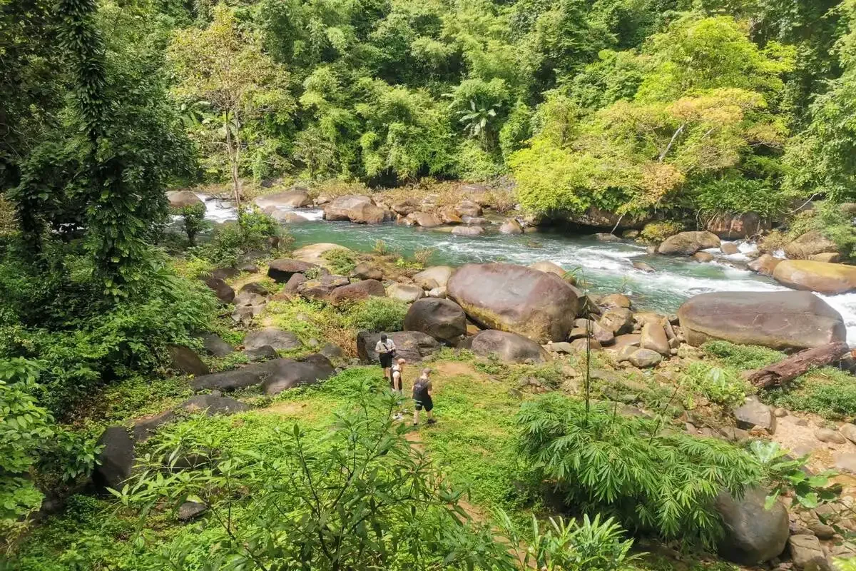 Khao Sok Jungle Hiking And Canoeing Day Trip Phuket Travel Store 13