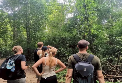 Couple hiking with guide along rainforest trails in Khao Sok.