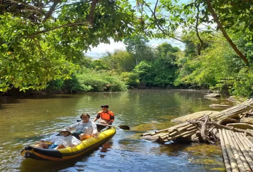 Tourists canoeing on the calm Sok River surrounded by lush jungle in Khao Sok.