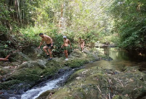 Group hiking along jungle stream rocks in Khao Sok rainforest.